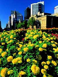 Adelaide City Tour (Morning Tour)