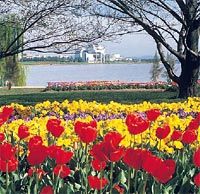 Canberra Day Tour from Sydney