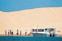 Coorong Wilderness Tour from Adelaide