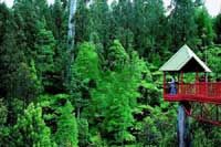 Huon Valley Tour from Hobart