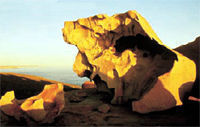 Kangaroo Island in a Day Tour from Adelaide
