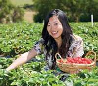 Mornington Peninsula Day Tour from Melbourne