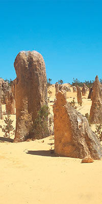Pinnacles Desert with 4x4 Adventure Tour from Perth