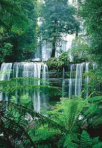 Russell Falls Tour from Hobart