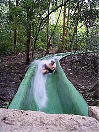 Costa Rican Combo Buena Vista Hot Springs / Canopy Tour and Water Slide