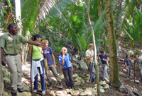 Robinson Crusoe's Jungle Adventure and Rainforest ATV