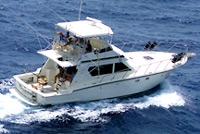 Deep Sea Fishing in San Juan aboard 'The Legend'