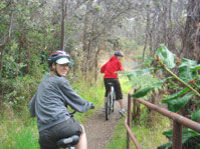 Kilauea Volcano and Wine Tasting Bike Tour