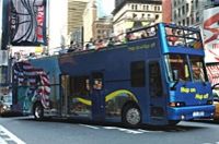 New York Hop on Hop Off Tour and Harbor Cruise