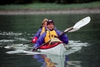 Tongass Wildlife Kayaking Adventure