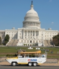 DC Ducks