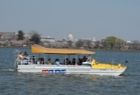 DC Ducks