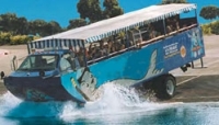 San Diego Seals