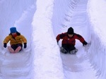, from Viator.com