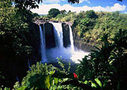 Suggested Itineraries: Oahu, Honolulu & Waikiki, from Viator.com