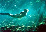 Tours, attractions, day trips & things to do