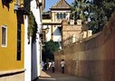 , from Viator.com