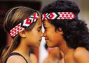 Suggested Itineraries: New Zealand, from Viator.com