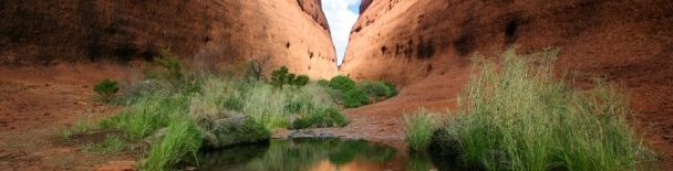 Alice Springs tours, sightseeing, things to do