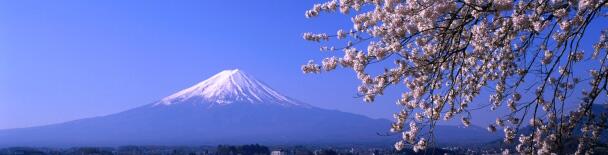 Japan tours, sightseeing, things to do
