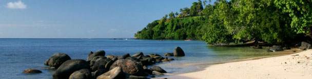 Fiji tours, sightseeing, things to do