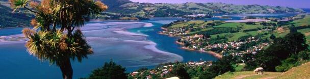 New Zealand tours, sightseeing, things to do