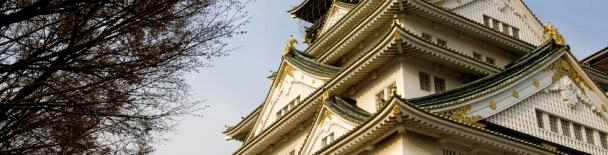 Osaka tours, sightseeing, things to do