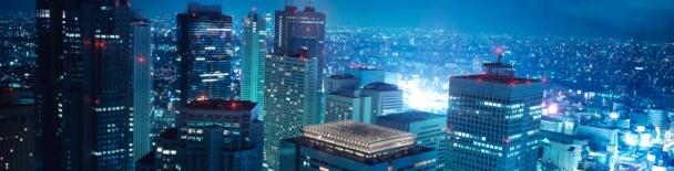 Tokyo tours, sightseeing, things to do