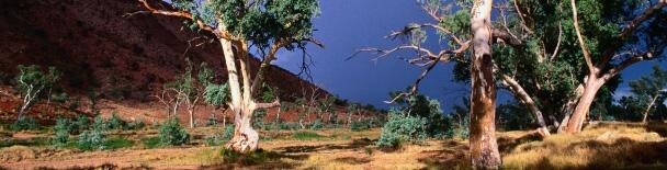Darwin tours, sightseeing, things to do