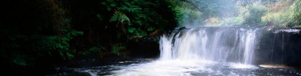 Rotorua tours, sightseeing, things to do