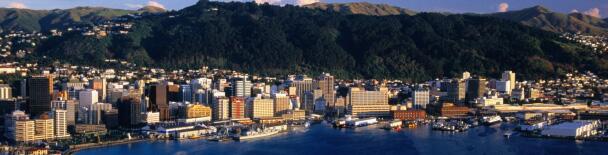 Wellington tours, sightseeing, things to do