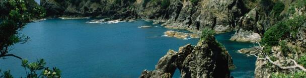 Bay of Islands tours, sightseeing, things to do