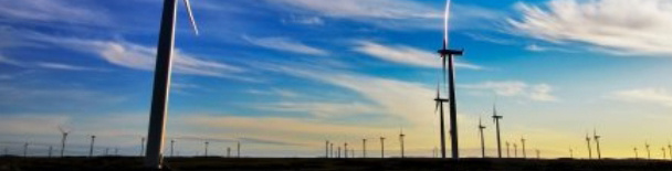 Carbon Offsets and Carbon Neutral Air Travel