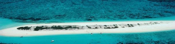 Great Barrier Reef Tours, activities and things to do