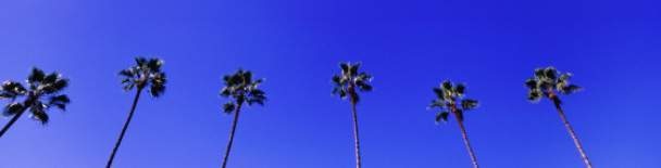 Los Angeles Tours, Sightseeing, Things to Do