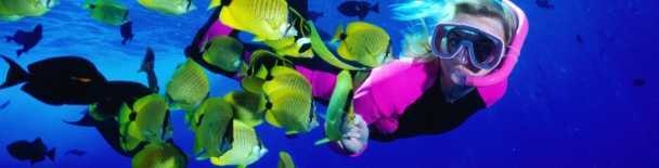 Maui Suggested Itineraries