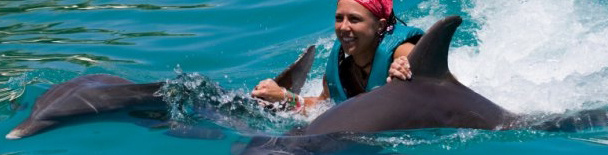 Swim with Dolphins
