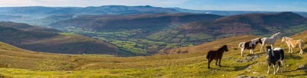 Wales Tours, activities and things to do