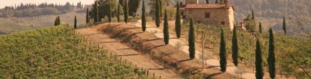 Tuscany tours, sightseeing, things to do