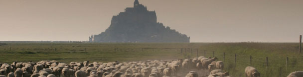 Normandy tours, sightseeing, things to do