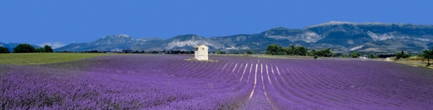 Provence tours, sightseeing, things to do