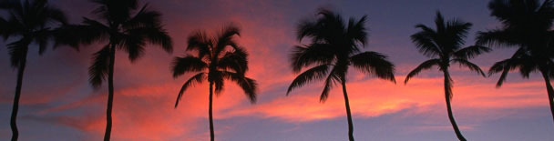 Hawaii tours, sightseeing, things to do