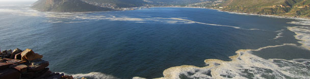 Cape Town tours, sightseeing, things to do