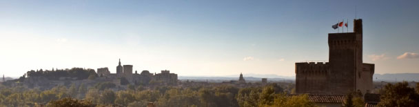 Avignon tours, sightseeing, things to do