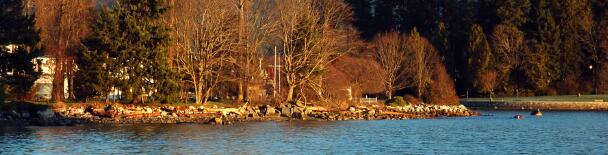 Vancouver tours, sightseeing, things to do