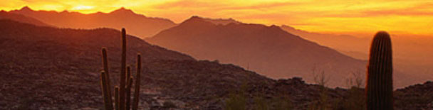 Phoenix tours, sightseeing, things to do