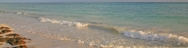 Key West tours, sightseeing, things to do