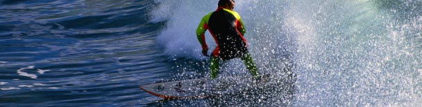 Maui tours, sightseeing, things to do