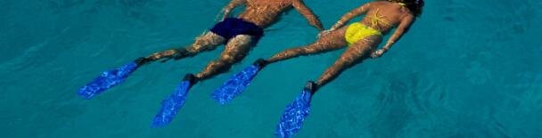 Cairns & the Tropical North tours, sightseeing, things to do