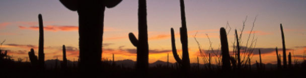Tucson tours, sightseeing, things to do